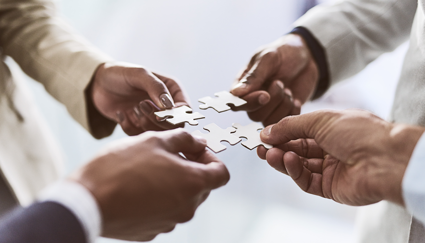 Strategic Relationships & Partnerships